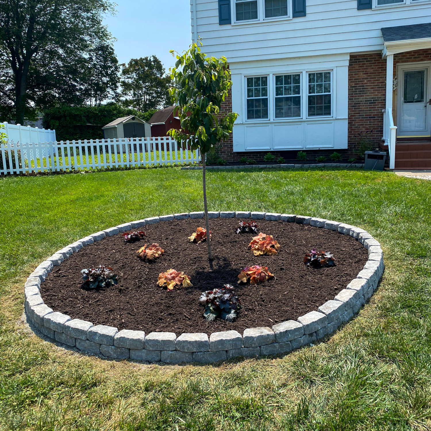 tree-landscaping-after