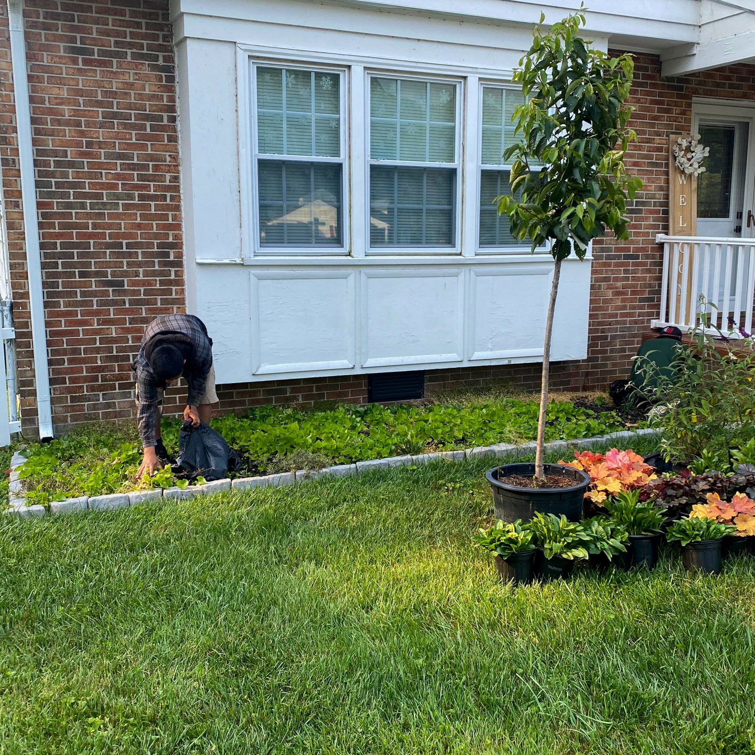 flower-bed-landscaping-before