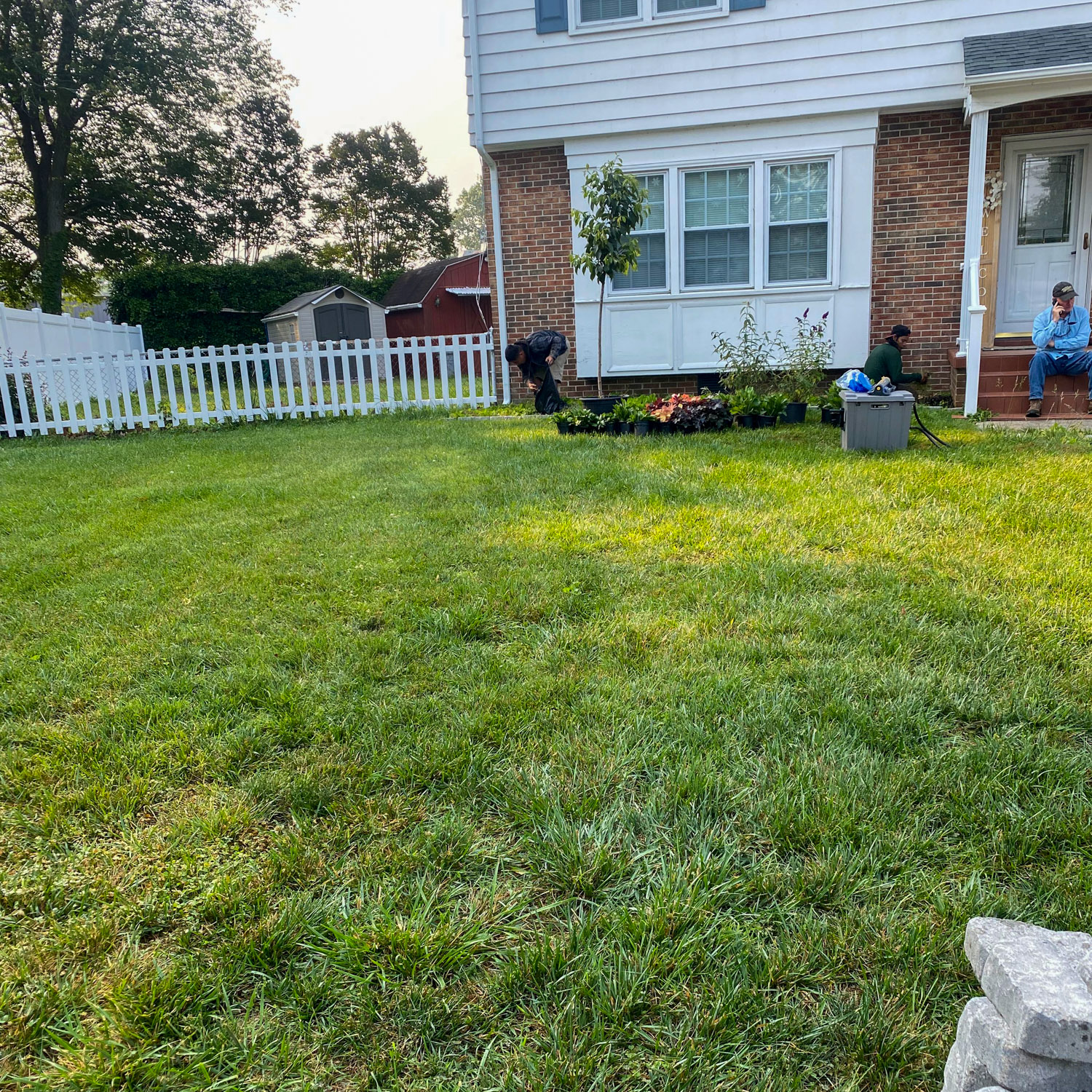 tree-landscaping-before